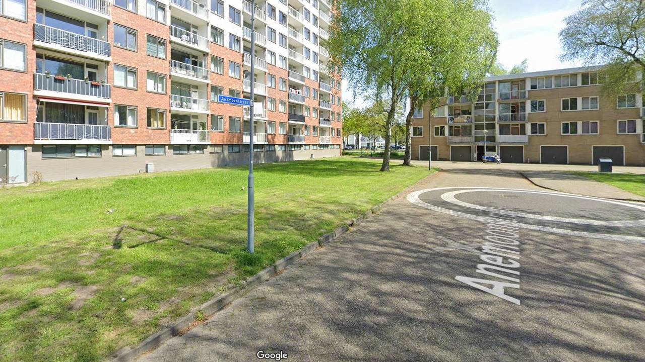 De Anemoonstraat in Oosterhout (foto: Google Streetview).