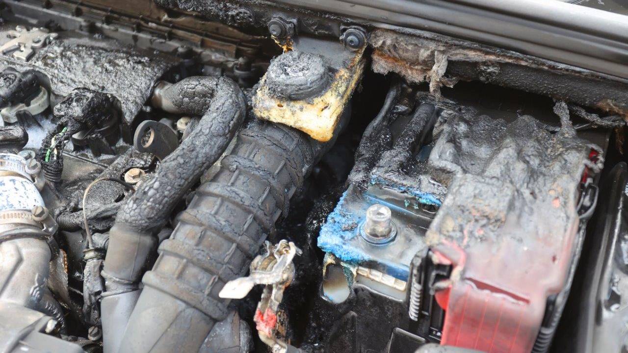 Foto: Bart Meesters/SQ Vision.