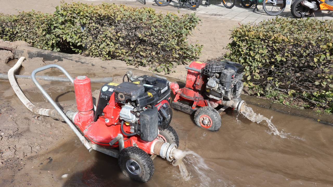 Foto: Bart Meesters/SQ Vision.