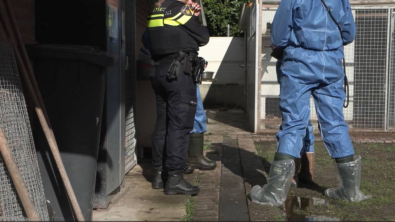Inspecteurs van de NVWA aan het werk in Eersel (foto: NVWA).