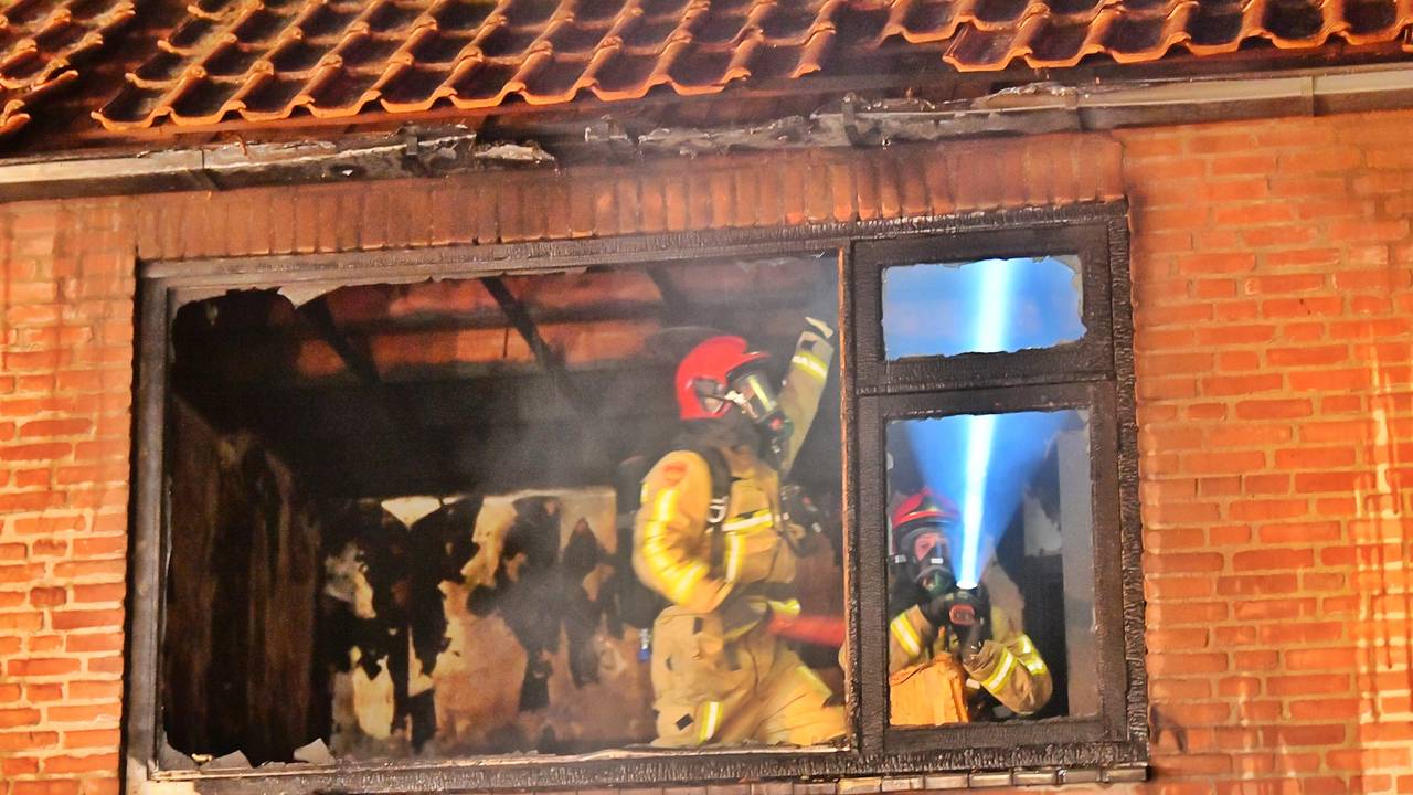 Foto: Rico Vogels / SQ Vision