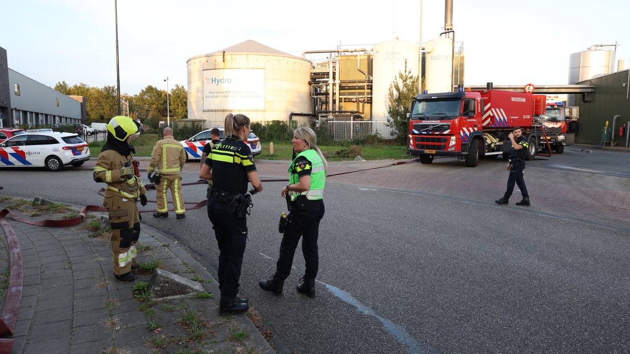 Foto: Sander van Gils / SQ Vision
