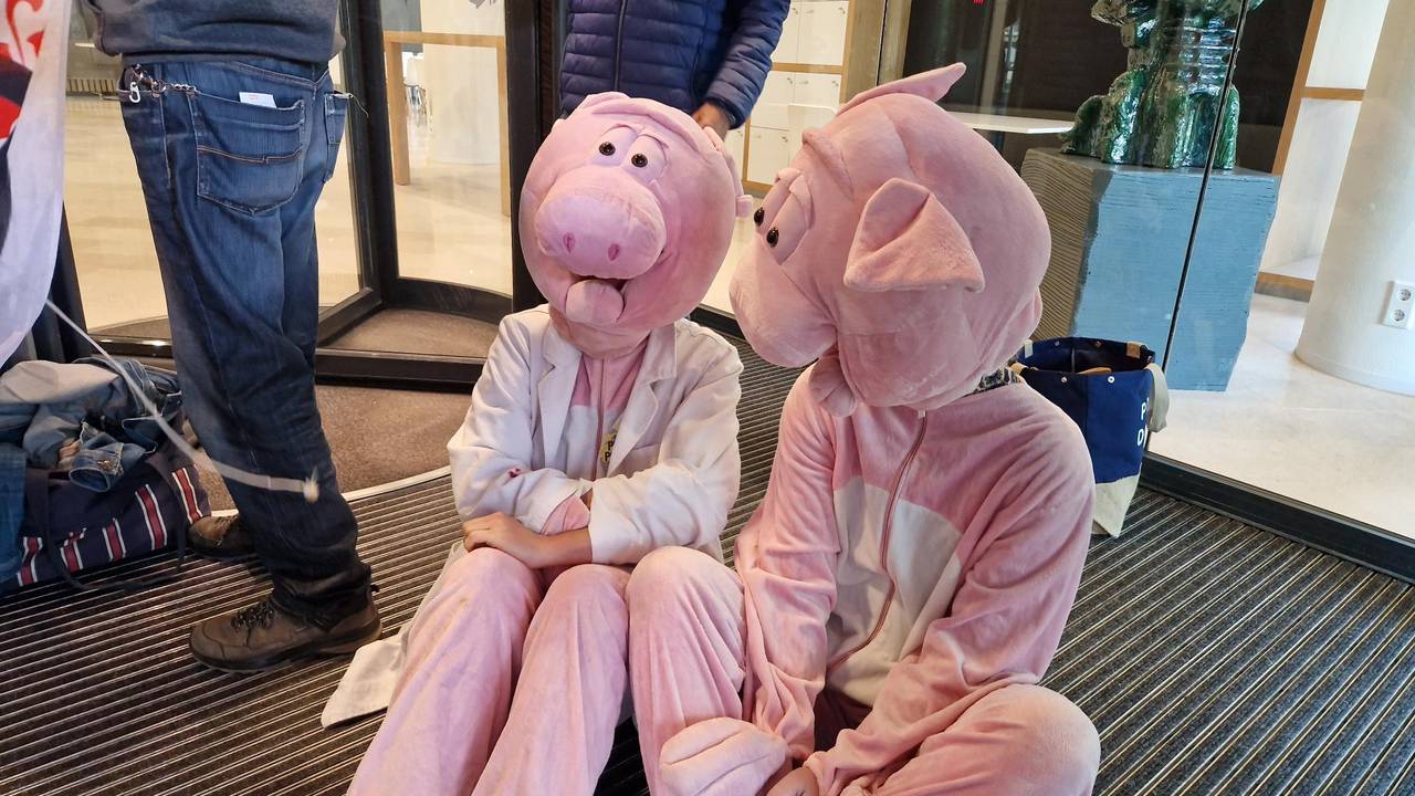 Foto: Noël van Hooft.