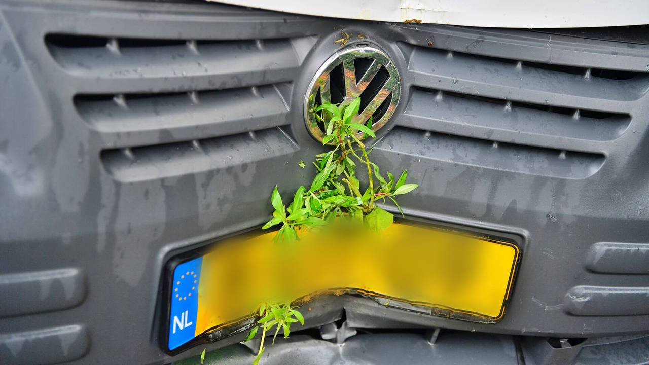 Foto: Rico Vogels/SQ Vision