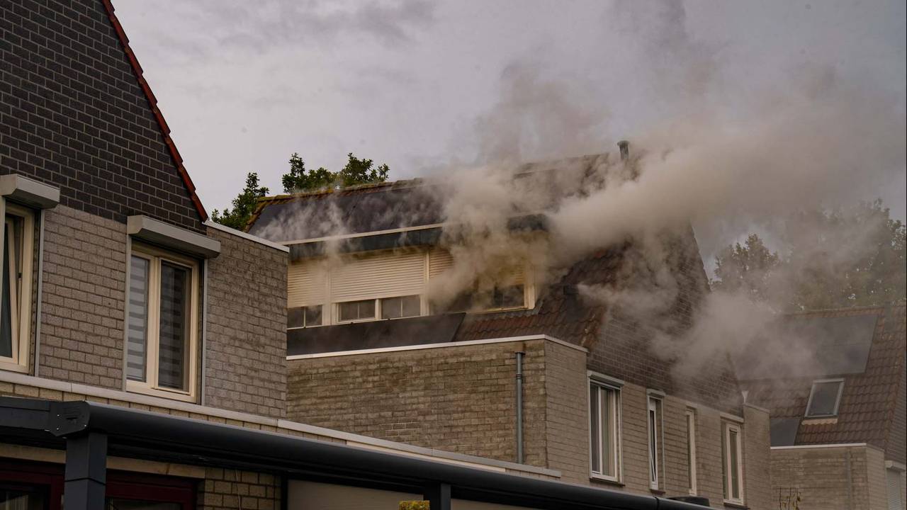 Foto: Harrie Grijseels/SQ Vision.