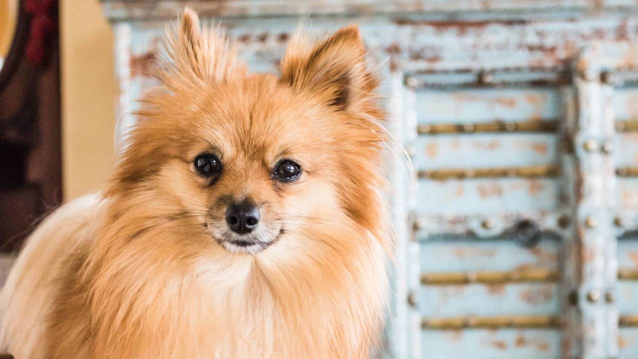 Archieffoto: Pexels / Daniela Ortega