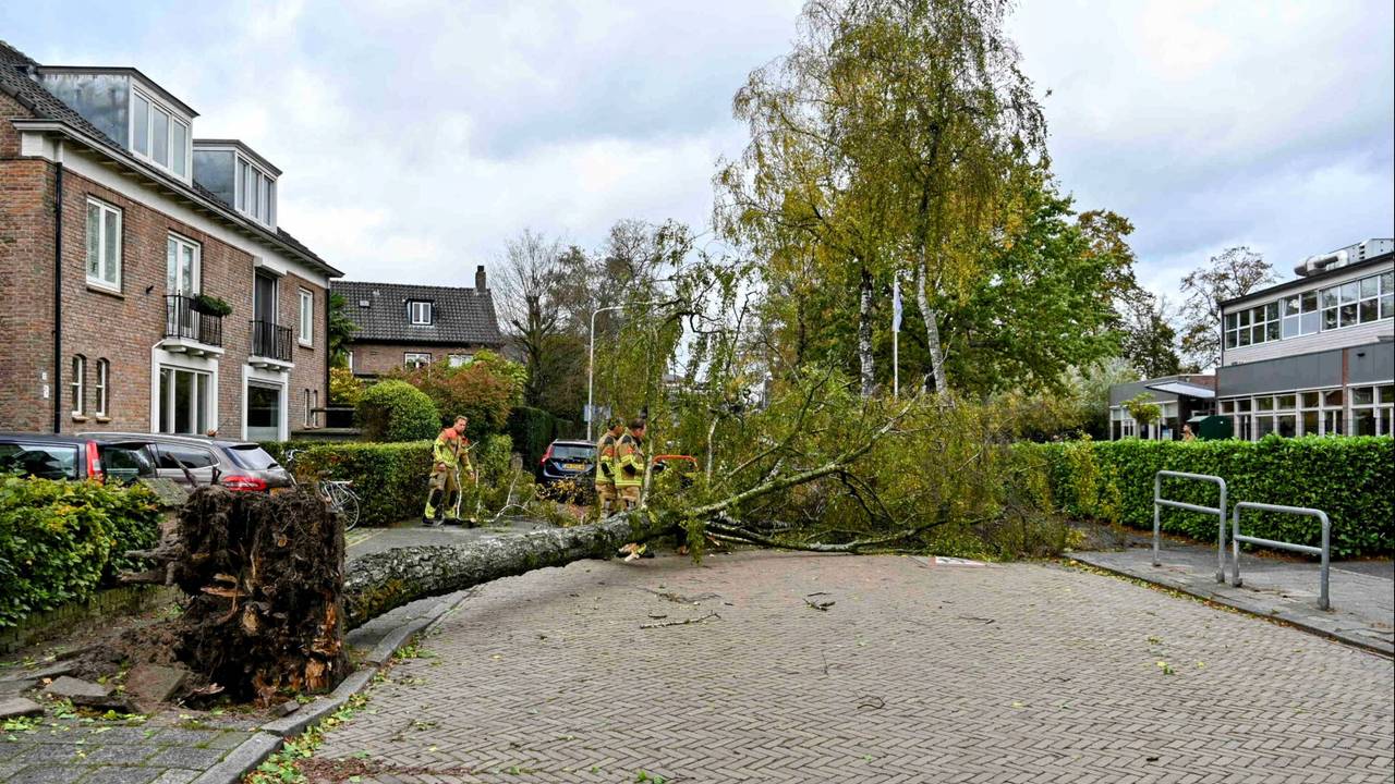 Foto: Tom van der Put/SQ Vision.