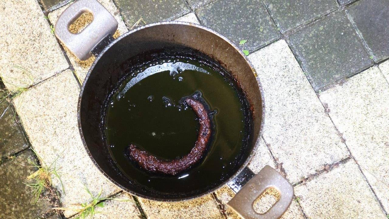 Foto: Bart Meesters / SQ Vision