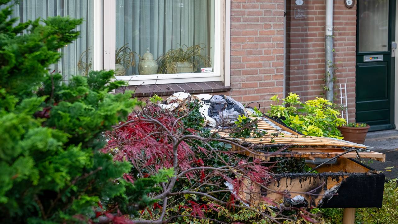 Foto: Iwan van Dun / SQ Vision
