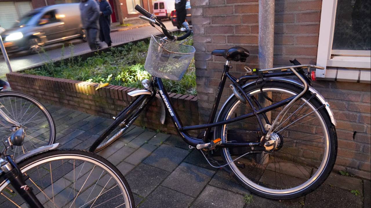 Foto: Harrie Grijseels/SQ Vision.