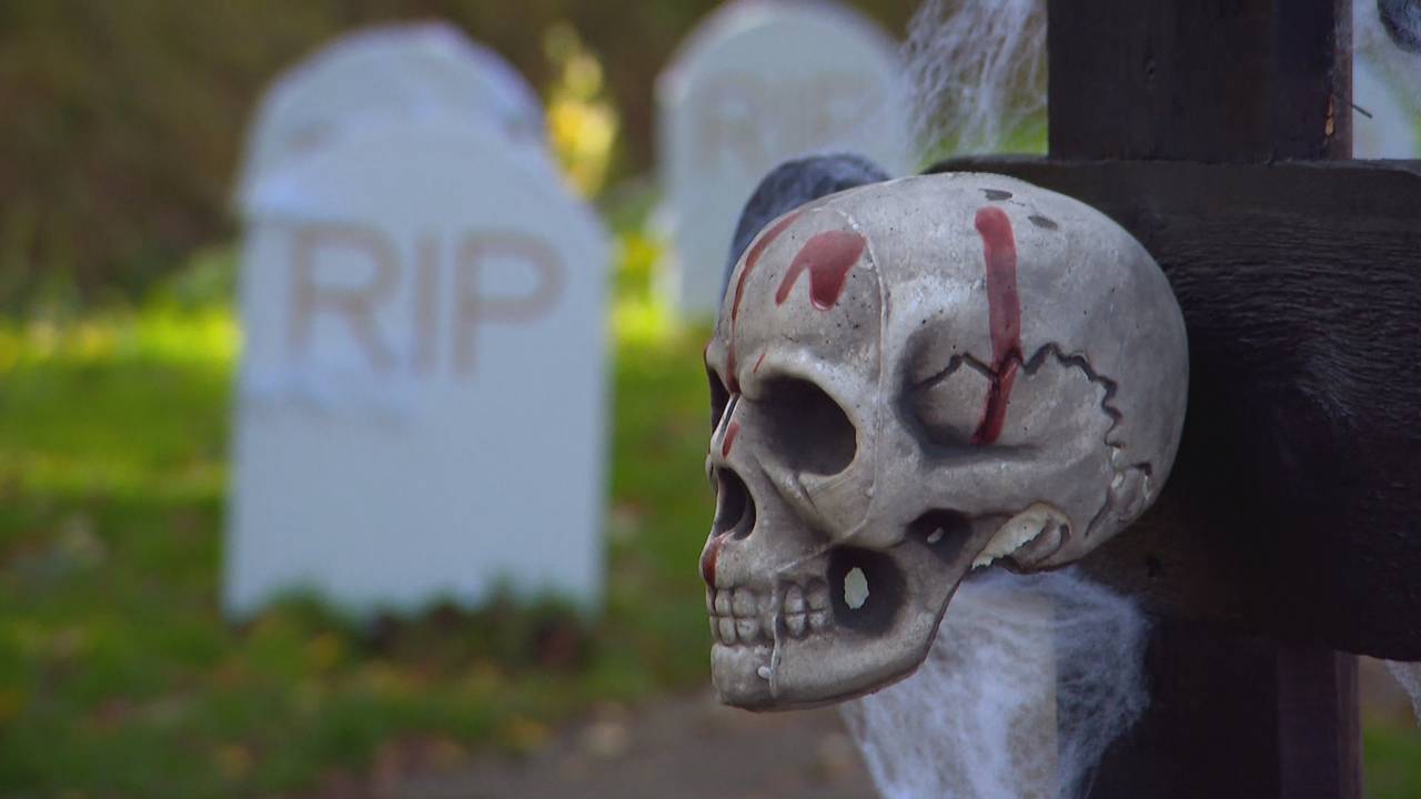 Van spookhuis tot creepy wasstraat: hier moet jij deze Halloween zijn.