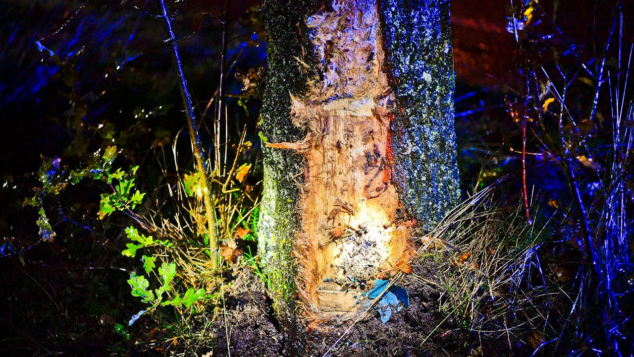 Foto: Rico Vogels/SQ Vision