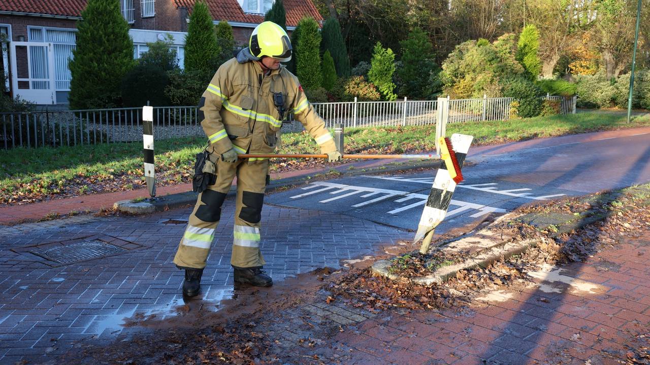 Foto: Sander van Gils / SQ Vision