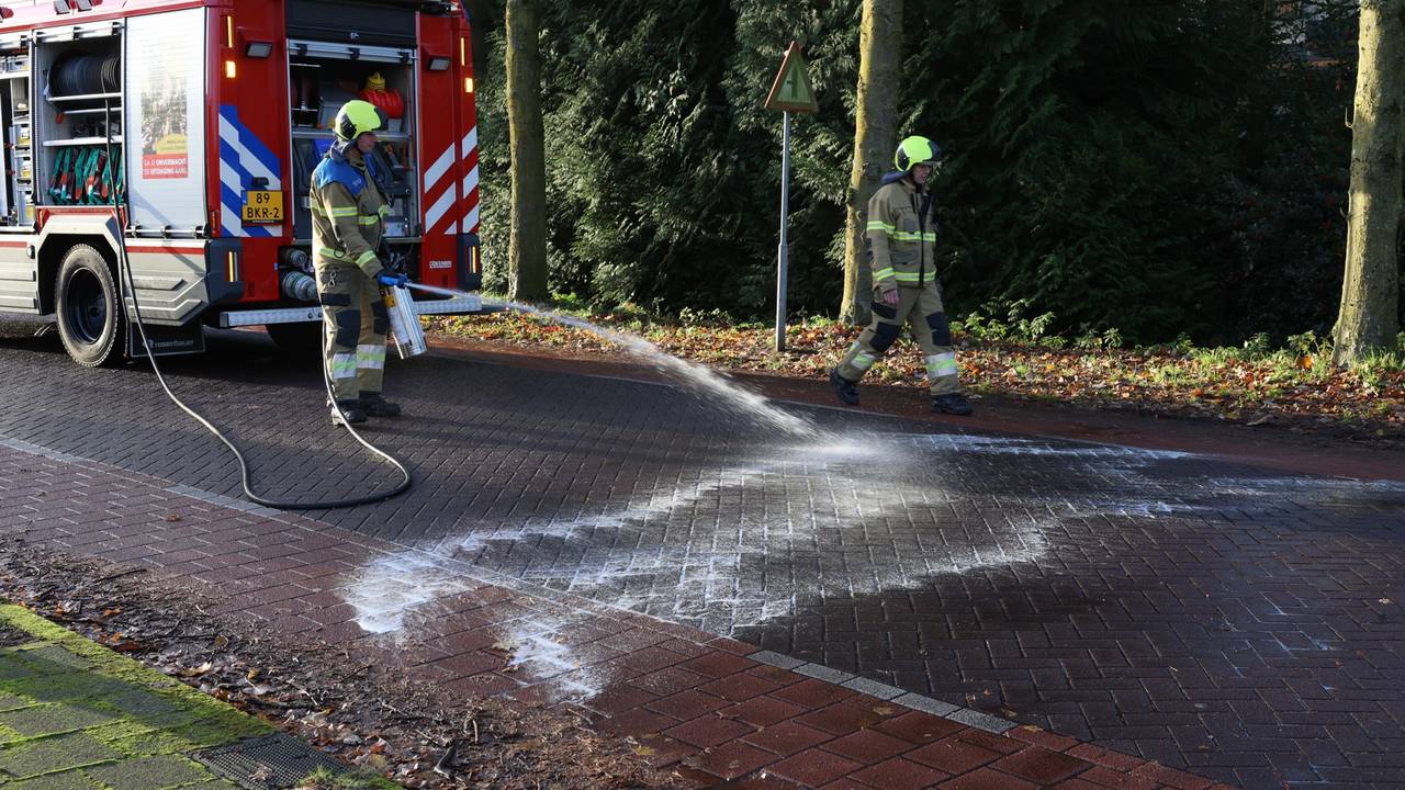 Foto: Sander van Gils / SQ Vision