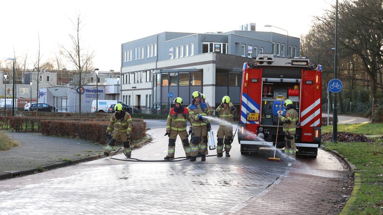 Foto: Sander van Gils / SQ Vision