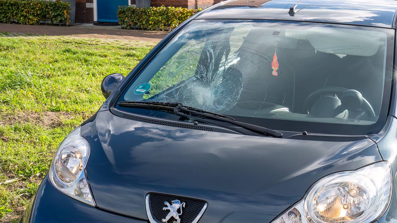 Foto: Iwan van Dun/SQ Vision 