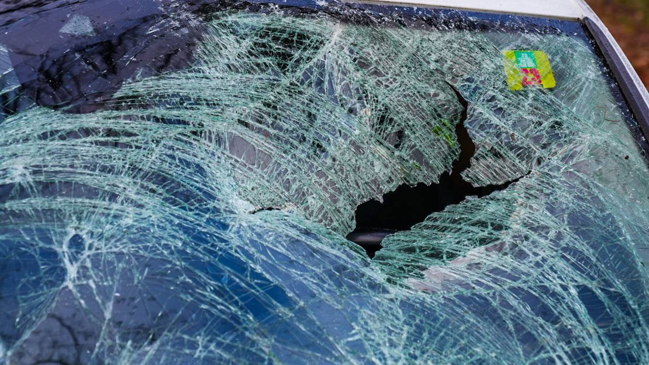 Foto: Dave Hendriks / SQ VIsion.