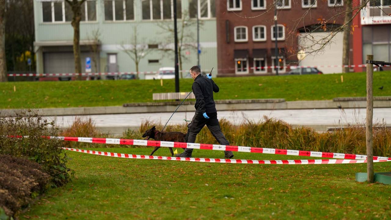 Foto: Harrie Grijseels/SQ Vision