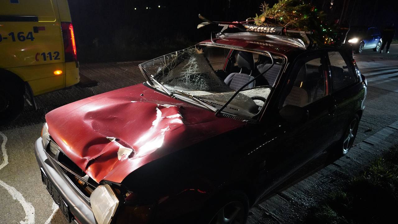 Tragic Fatal Accident on N260: Pedestrian Killed After Being Hit by Car – Emergency Services Responded Quickly to the Scene