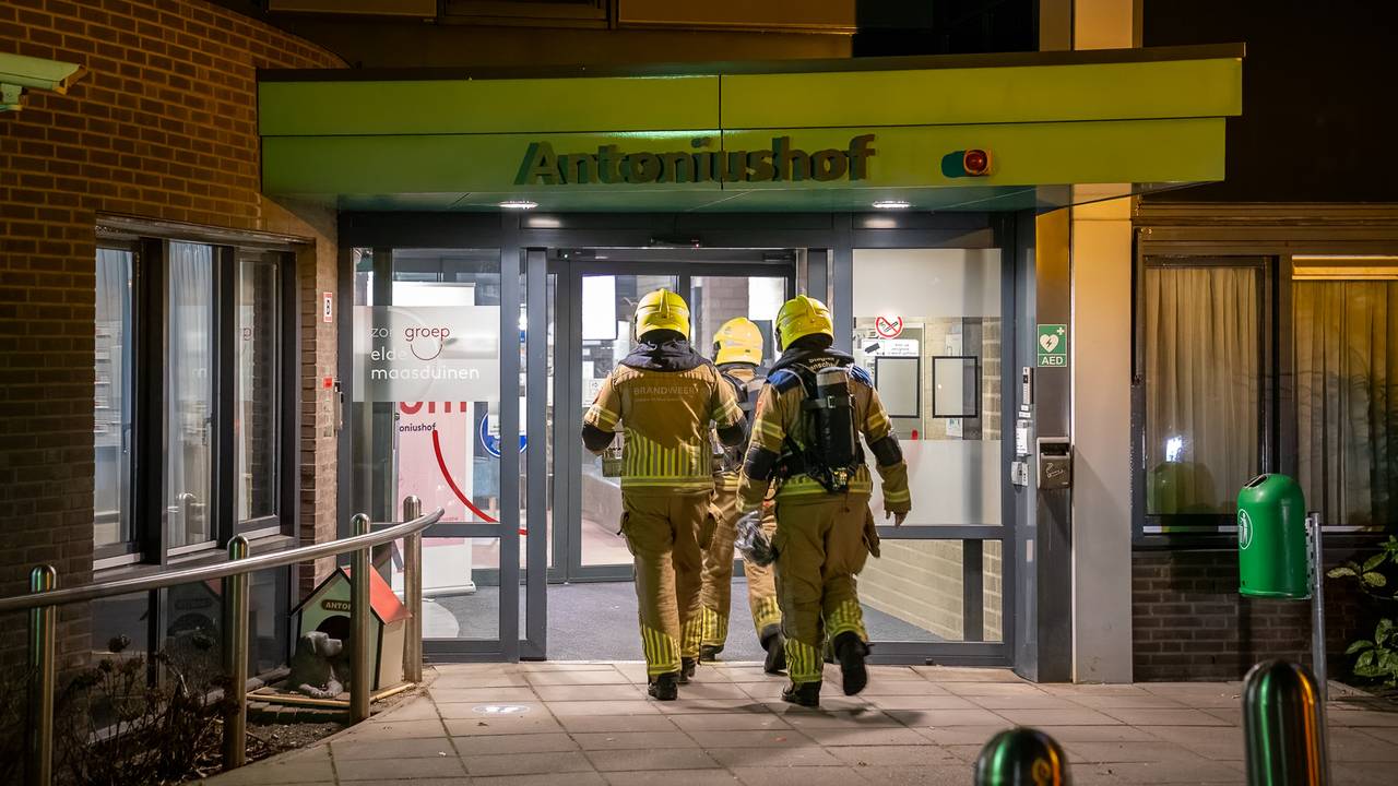 Foto: Iwan van Dun/ SQ Vision.