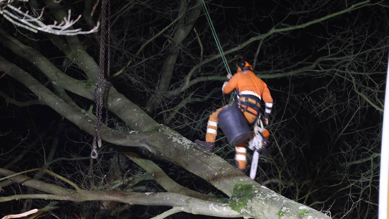 Foto: Sander van Gils / SQ Vision.