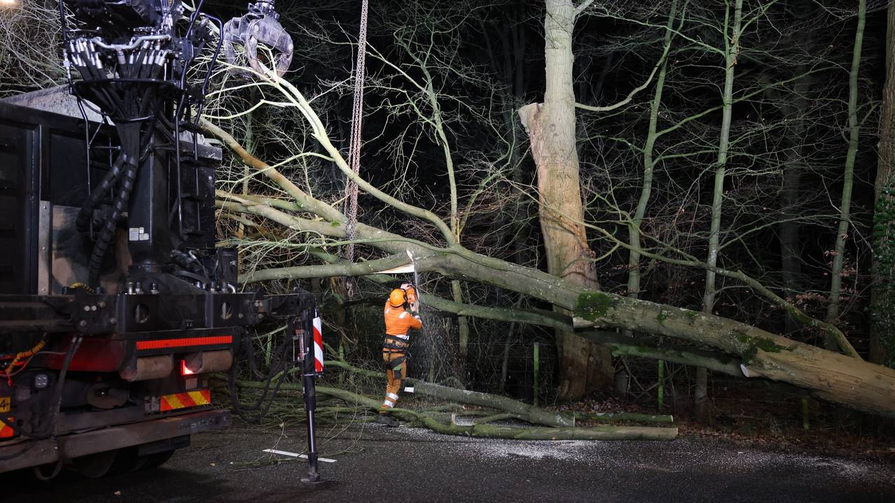 Foto: Sander van Gils / SQ Vision.