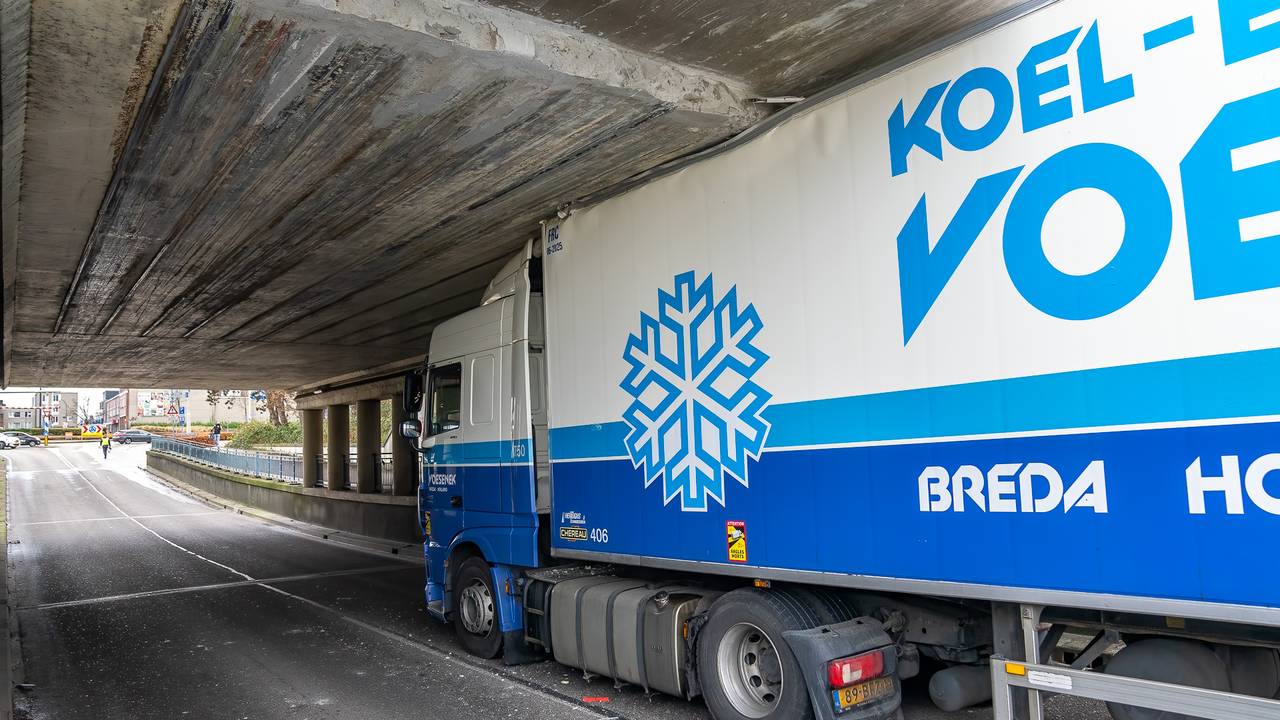 Foto: Iwan van Dun/SQ Vision.