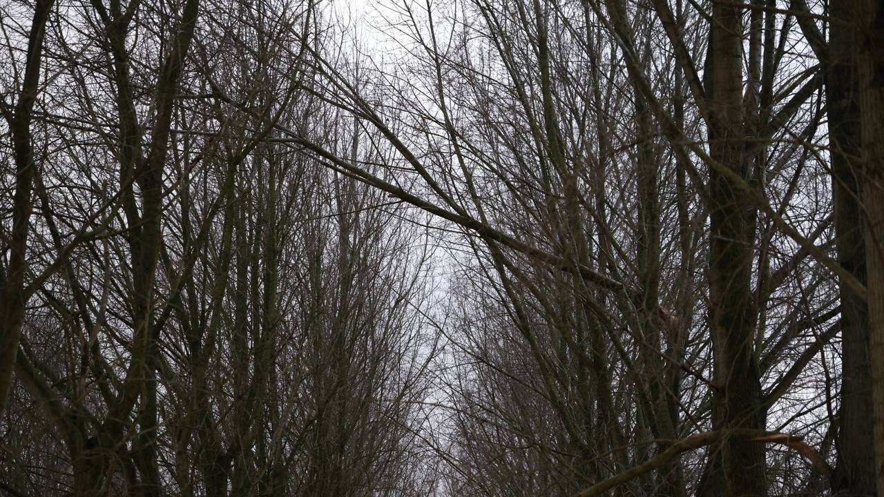 Foto: Sander van Gils/SQ Vision.