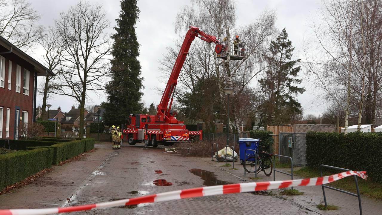 Foto: Sander van Gils