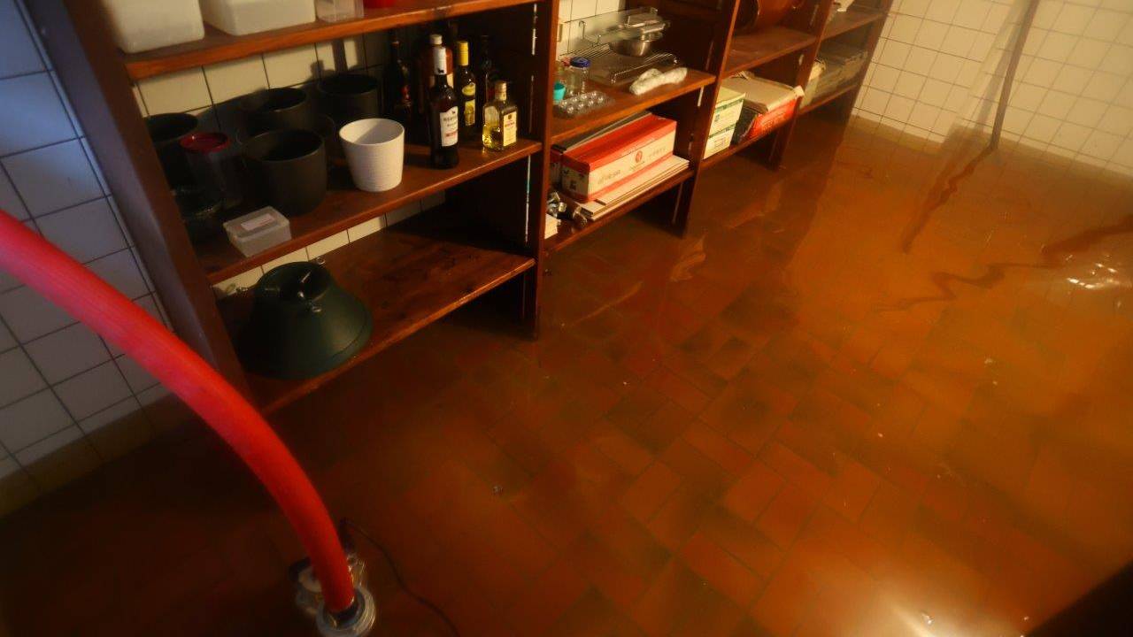 Foto: Bart Meesters/SQ Vision.