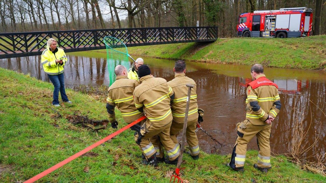 De hulpdiensten bij de duiker. (Foto: SQ Vision/Bart Meesters).