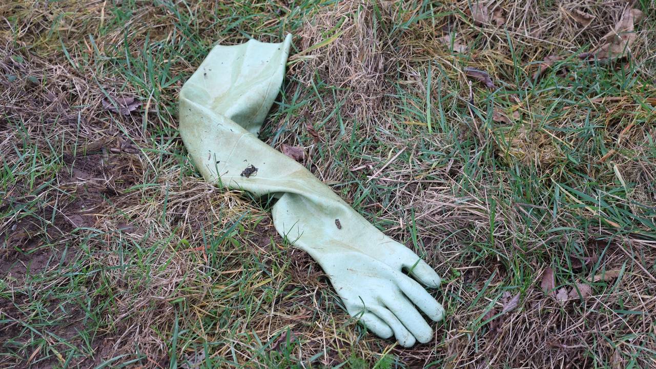 De gevonden handschoen (foto: Sander van Gils / SQ Vision).