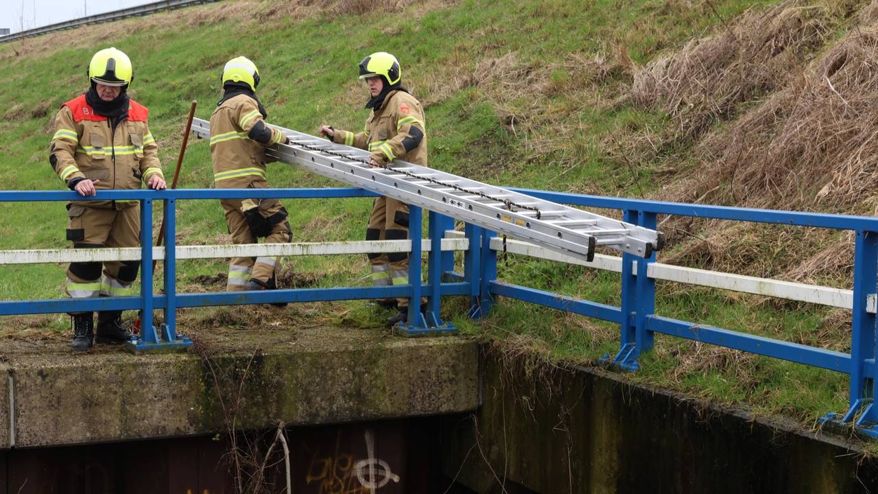 Foto: Sander van Gils / SQ Vision