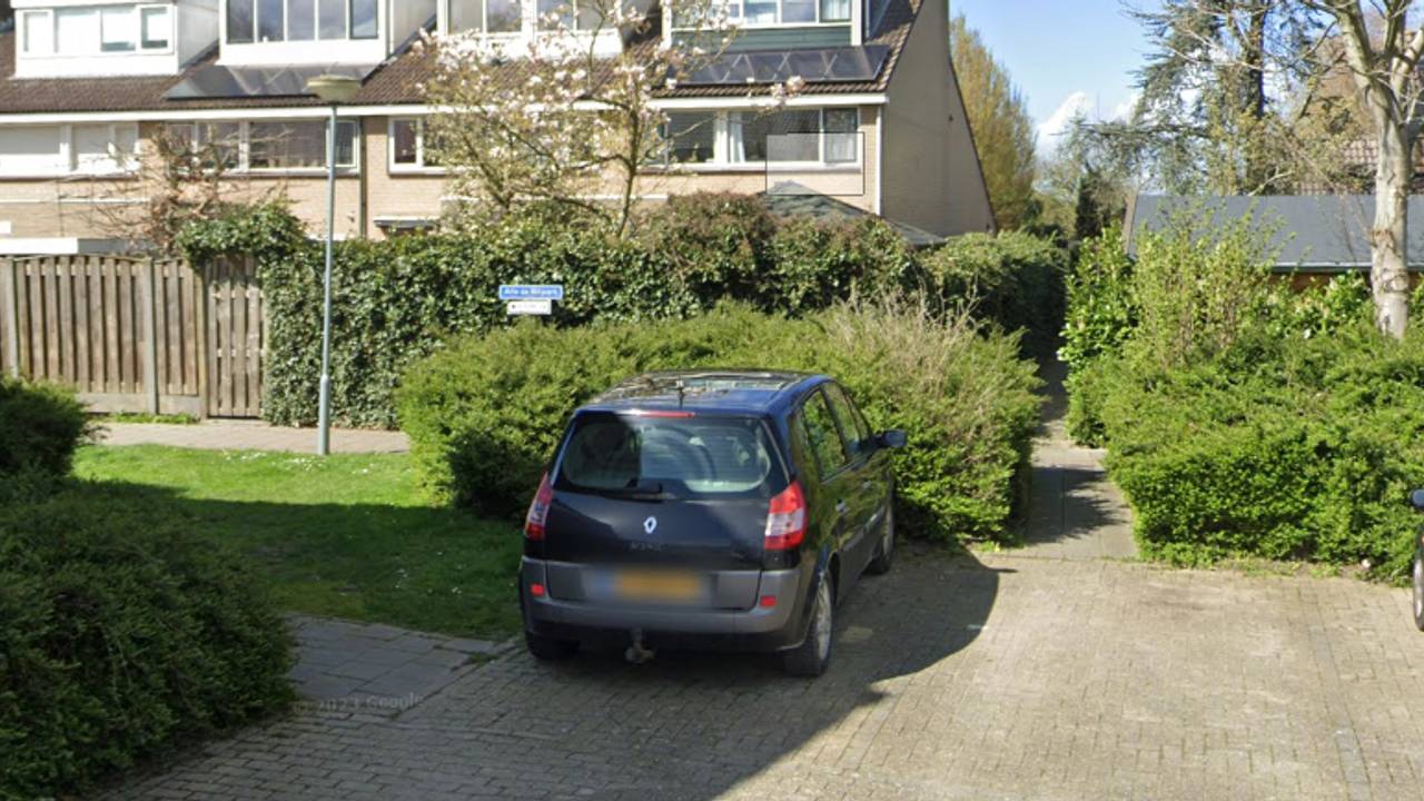 Het Arie de Witpark (archieffoto: Google Maps).