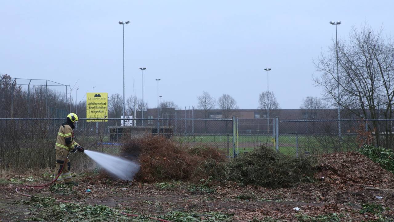 Foto: Sander van Gils / SQ Vision