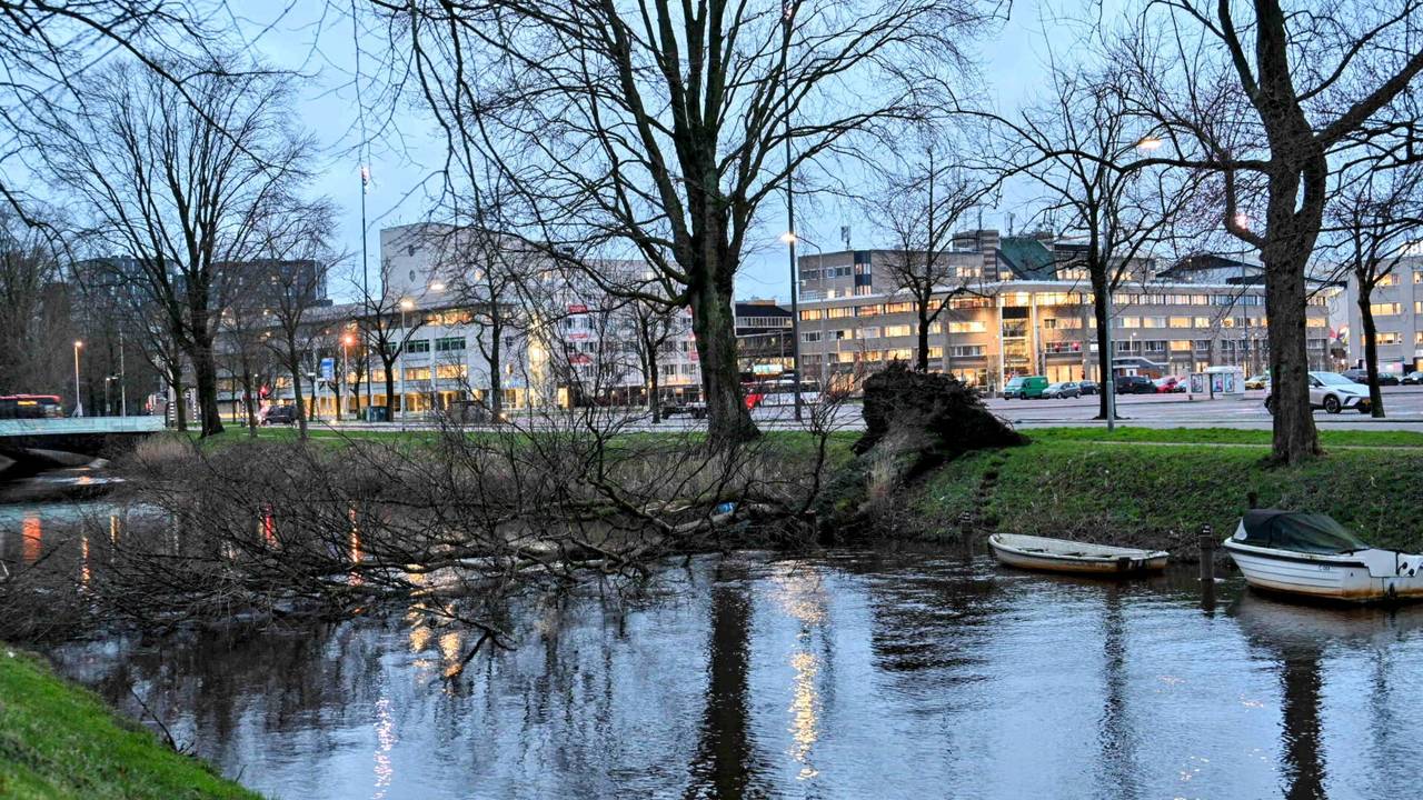 Boom in het water (foto: Tom van der Put/SQ Vision).