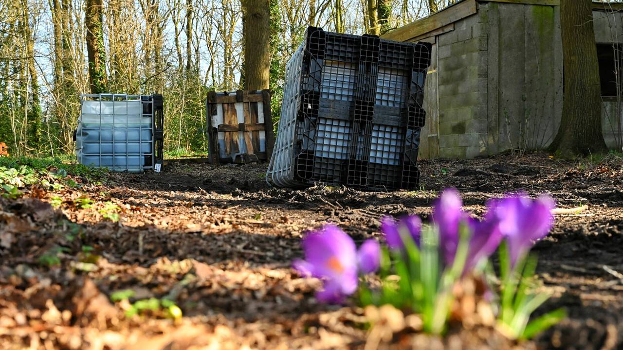 De gedumpte vaten (foto: SQ Vision/Toby de Kort).