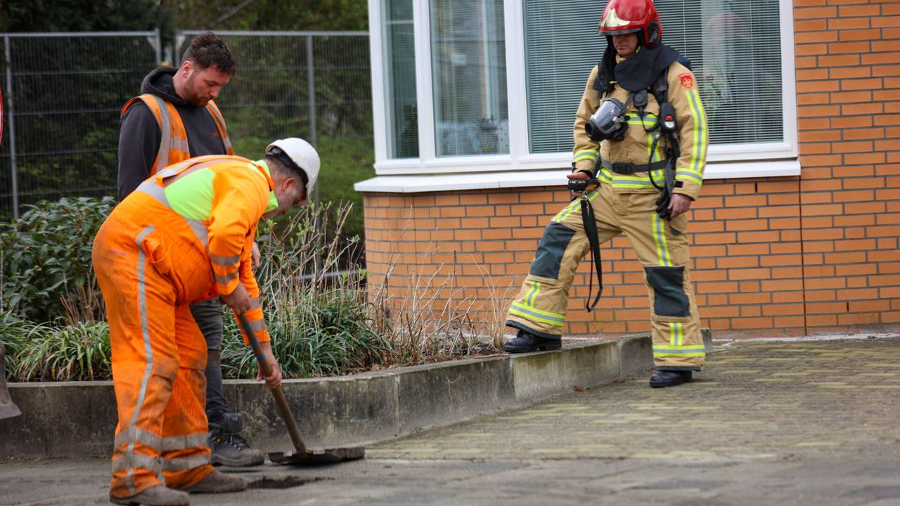 Foto: Arno van der Linden/SQ Vision.