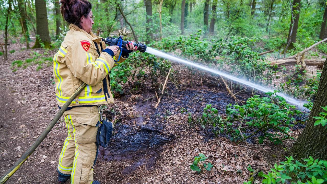 Foto: Dave Hendriks / SQ Vision