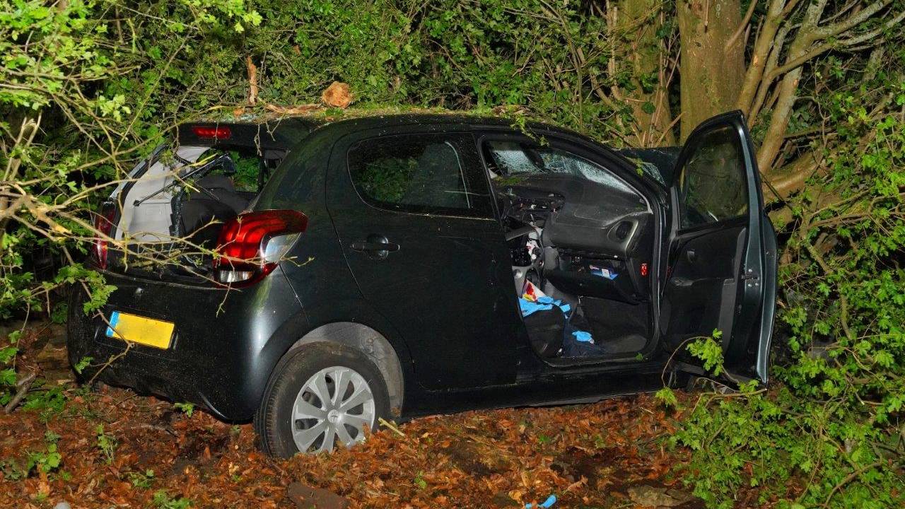 Foto: Bart Meesters / SQ Vision