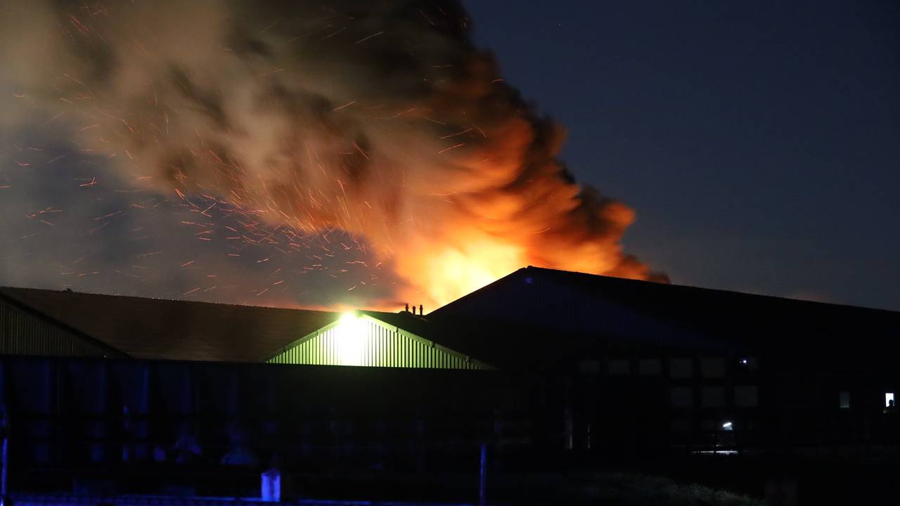 Foto: Kevin Kanters/SQ Vision.