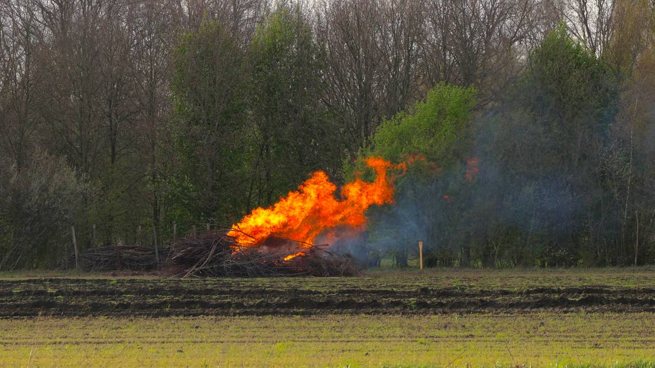 Foto: Sander van Gils/SQ Vision.