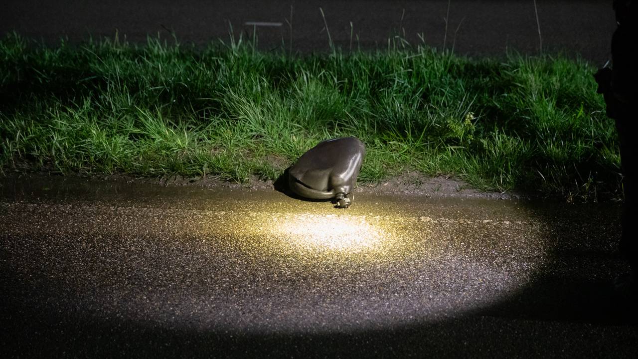 Foto: SQ Vision / Christian Traets