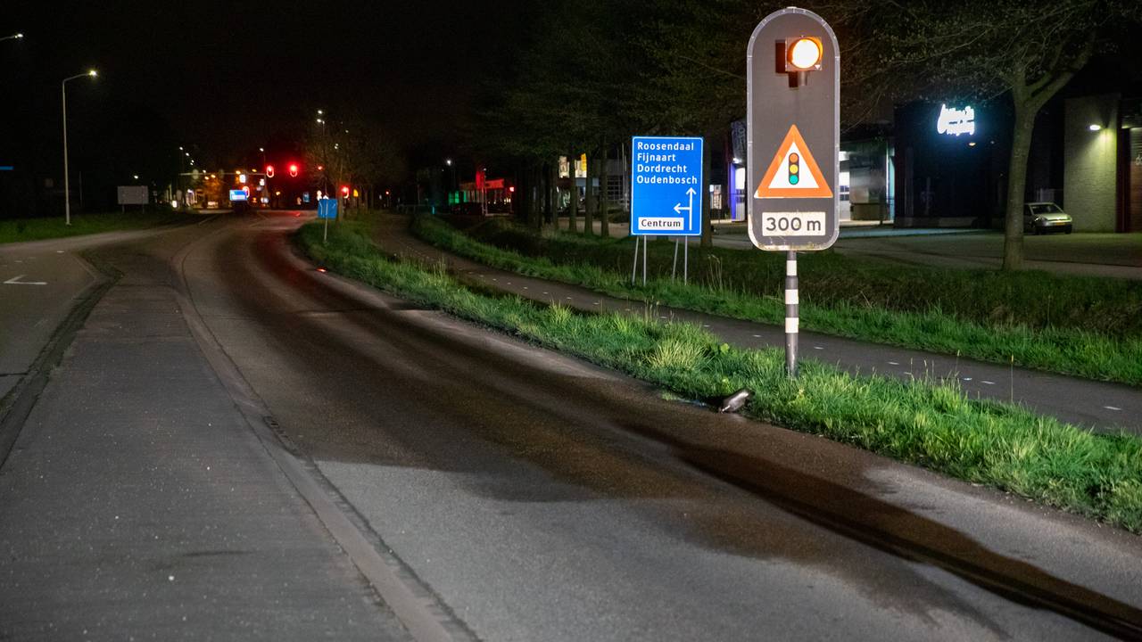 Foto: SQ Vision / Christian Traets