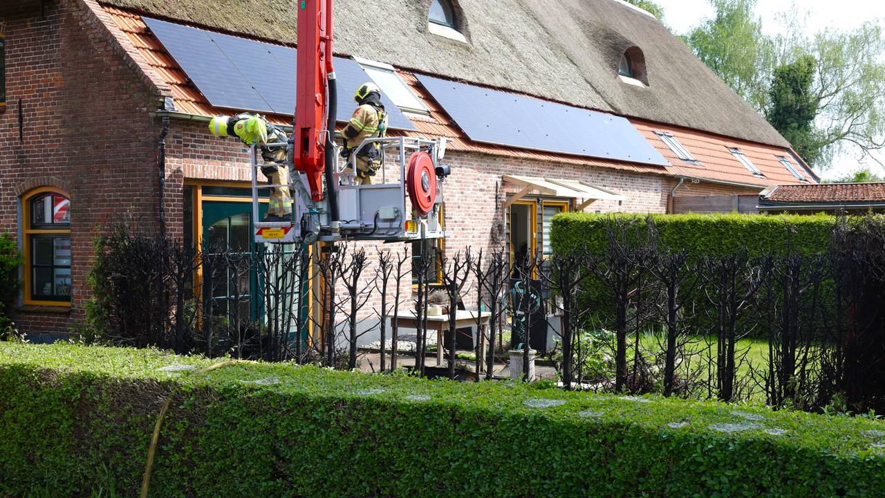 Foto: Sander van Gils/SQ Vision.