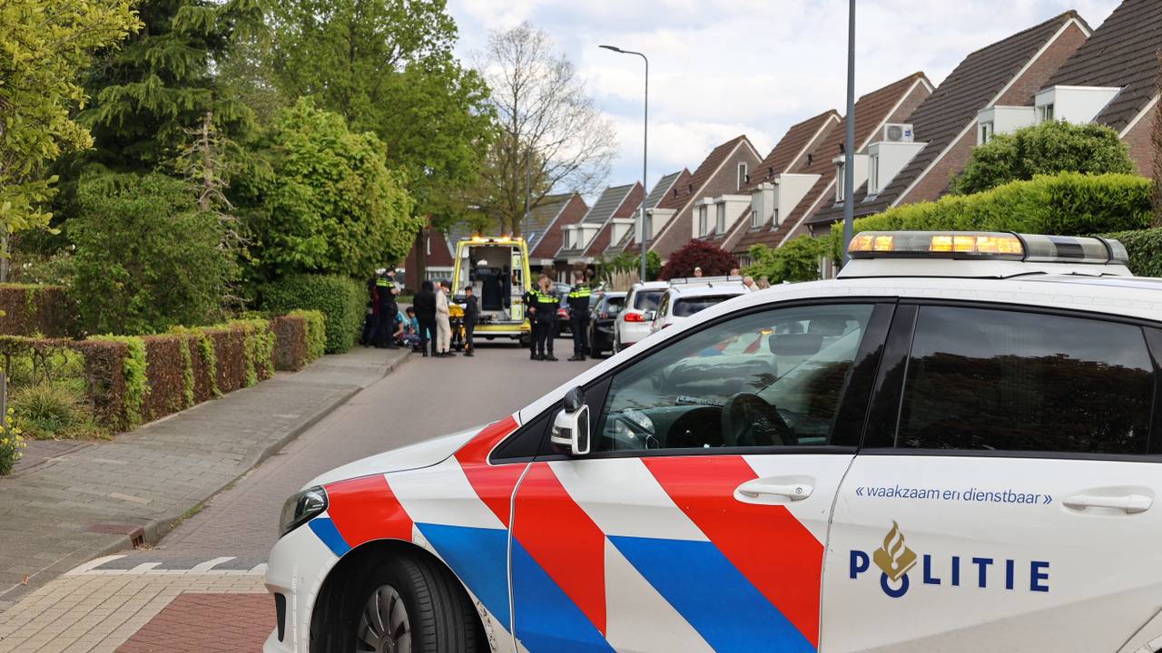 foto: Meesters Multi Media. 