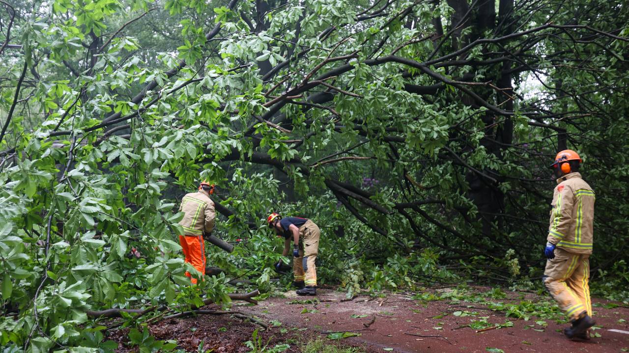 De brandweer aan het werk bij de omgewaaide boom (foto: SQ Vision/Arno van der Linden).