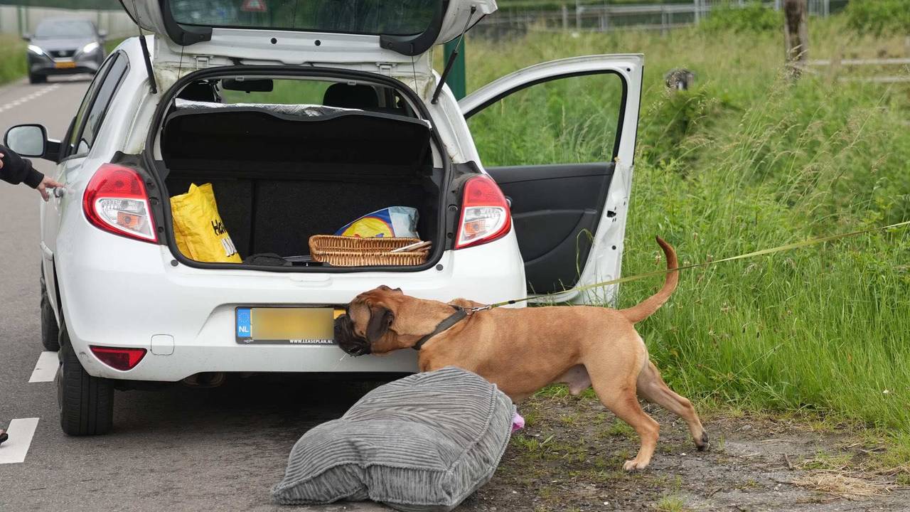 Een hond werd in de buurt opgevangen (foto: WdG/SQ Vision).