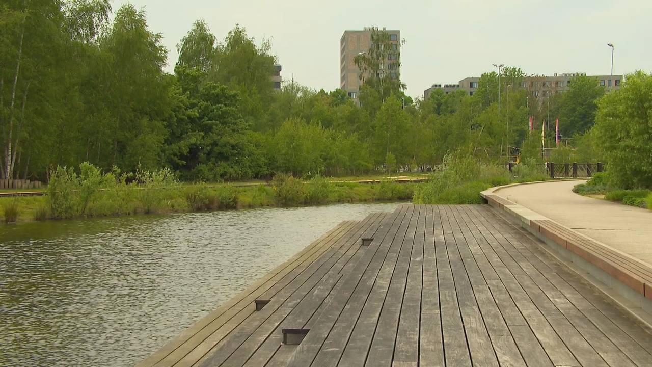 Meer water in de bebouwde omgeving, zoals hier in Tilburg (beeld: Omroep Brabant).
