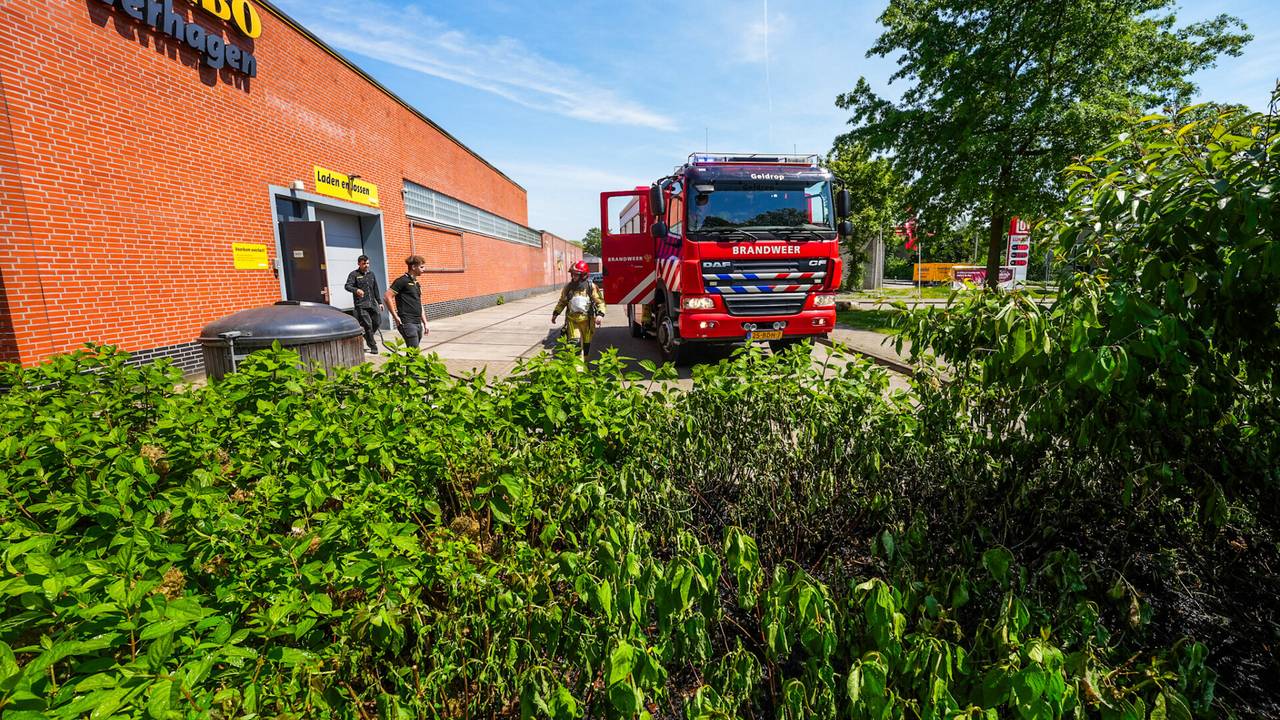 Foto: Dave Hendriks/SQ Vision.